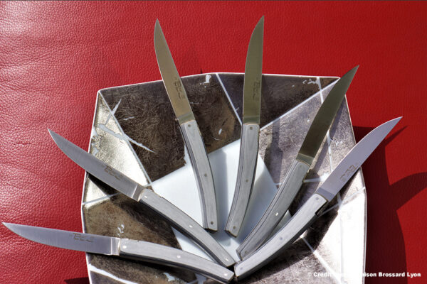 Couteaux de table Le Thiers par Goyon Chazeau Manche en paperstone 2