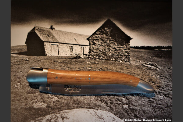 Forge de Laguiole Modele exclusif Bois de Buron
