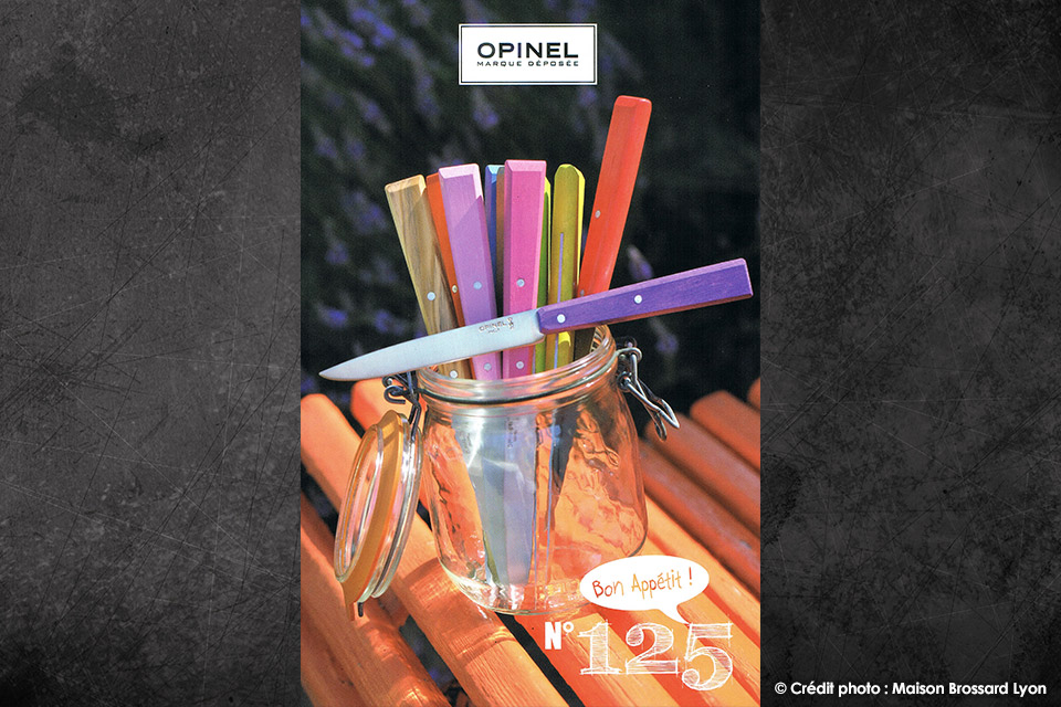 Couteaux de table Opinel Esprit (3)