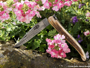 Laguiole d'Exception