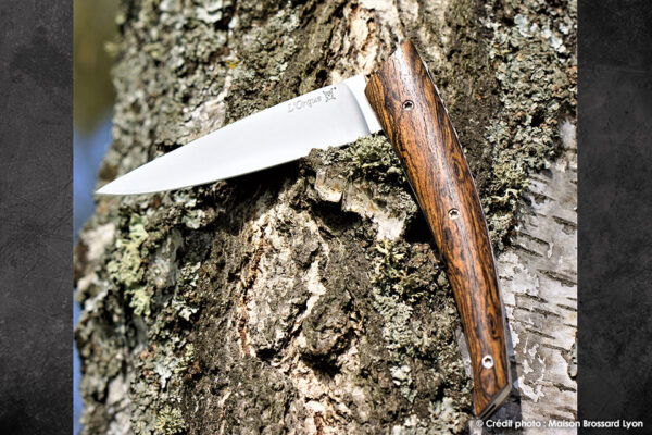 L’Orque - Manche Bocote – Lame 12C27 inox