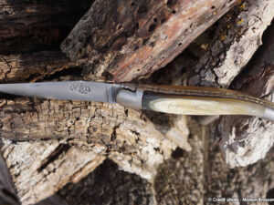1 Corne de vache d Aubrac et double platines