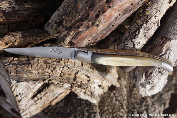 1 Corne de vache d Aubrac et double platines