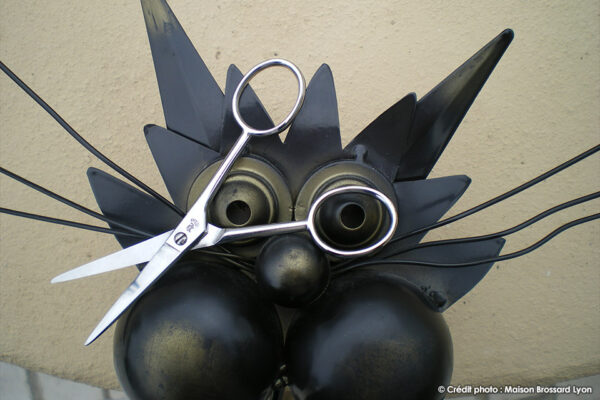 Ciseaux de coiffeur Nogent France