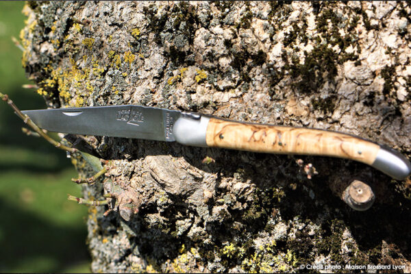 Forge de Laguiole Iame T12 Manche bouleau Abeille et ressort ciselés main