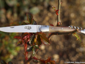 Forge de Laguiole Tradition