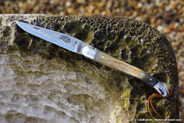 Forge de Laguiole Tradition Manche en corne de race d Aubrac 2