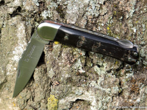 Le Pionnier par Goyon Chazeau Thiers France Manche corne de buffle Lame 12C27 inox bloquante 2