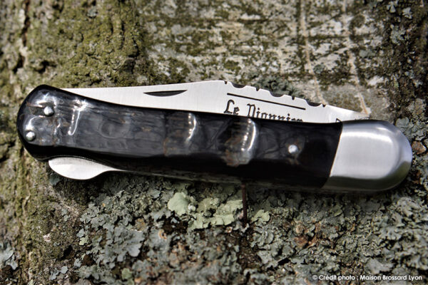 Le Pionnier par Goyon Chazeau Thiers France Manche corne de buffle Lame 12C27 inox bloquante