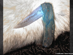 02J AChomilier Damas carbone explosion (M Styrefors) Manche mammouth bleu