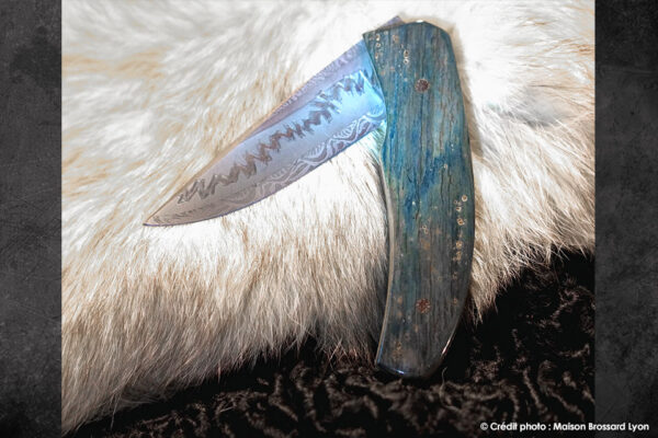 02J AChomilier Damas carbone explosion (M Styrefors) Manche mammouth bleu