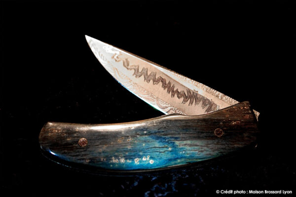 02eJ AChomilier Damas carbone explosion (M Styrefors) Manche mammouth bleu