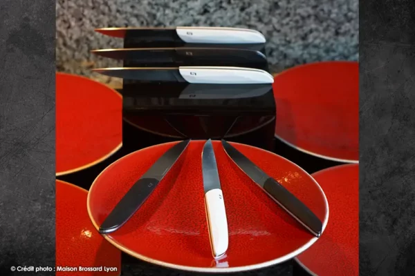 Couteaux de table Lepage Table 55 coffret noir blanc