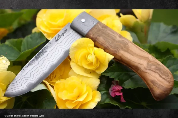 Le Bugiste olivier et damas artisanal npn inox
