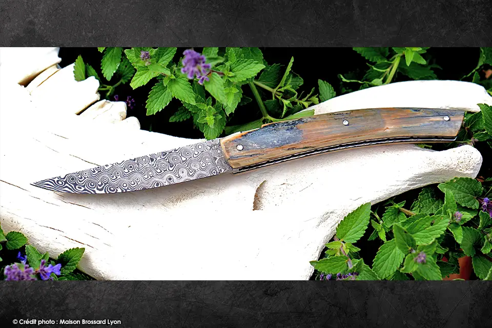 Le Thiers par Goyon Chazeau Croute de mammouth et damas inox 03