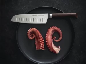santoku les forges 1890 03