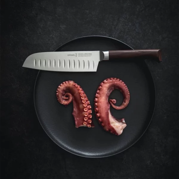 santoku les forges 1890 03