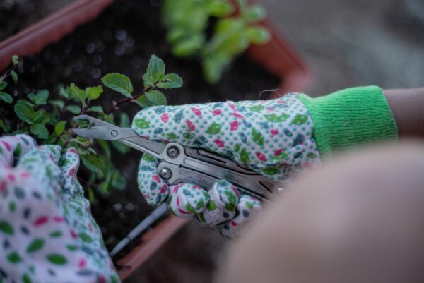 Leatherman Wingman Gardening Home Isaac Miller14