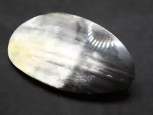 barrette ovale L sombre