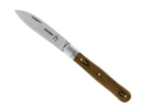 notron violon pp noyer