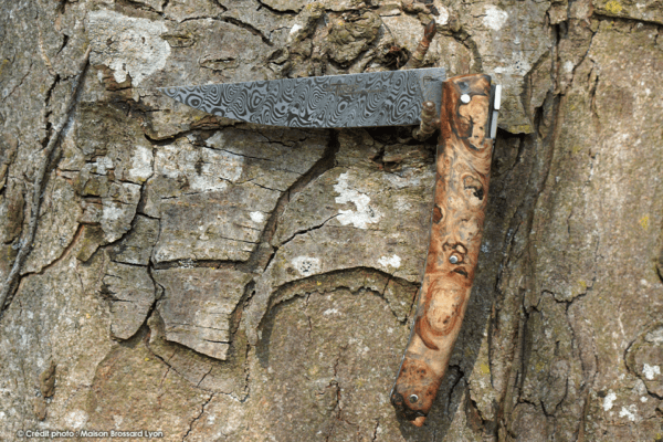 Le Thiers de Goyon Chazeau Manche loupe de marronnier  Damais inox Ladder