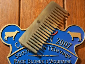 peigne en corne le cap york afro