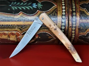 thiers goyon chazeau genevrier