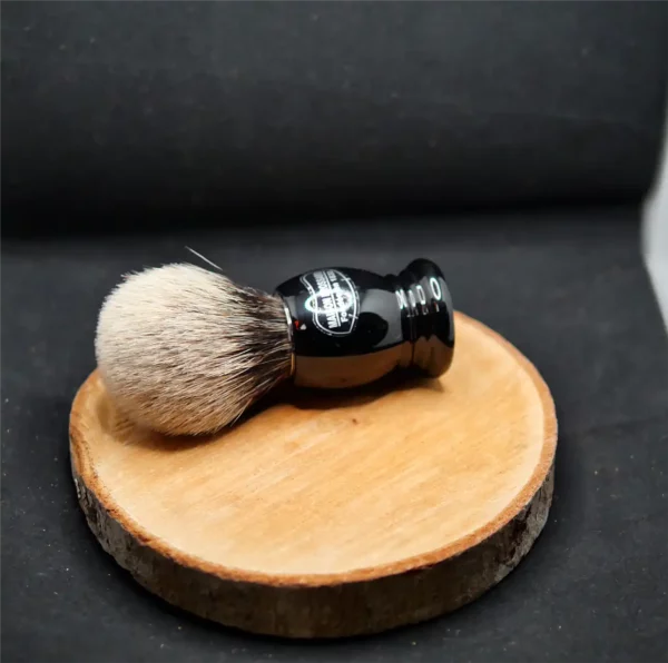 Blaireau Brossard Noir Gris Européen (3)