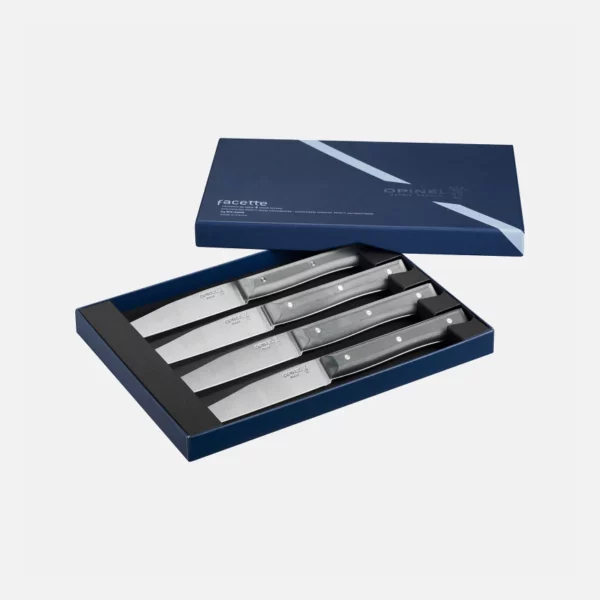 Coffret de 4 couteaux de table Facette Ardoise Microdenté 2