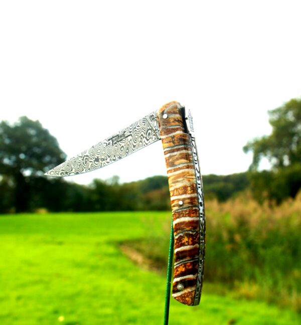 thiers goyon chazeau exception molaire mammouth damas inox ladder 3