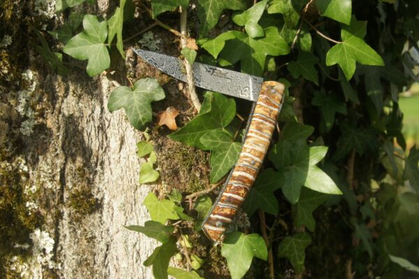 thiers goyon chazeau exception molaire mammouth damas inox ladder 4