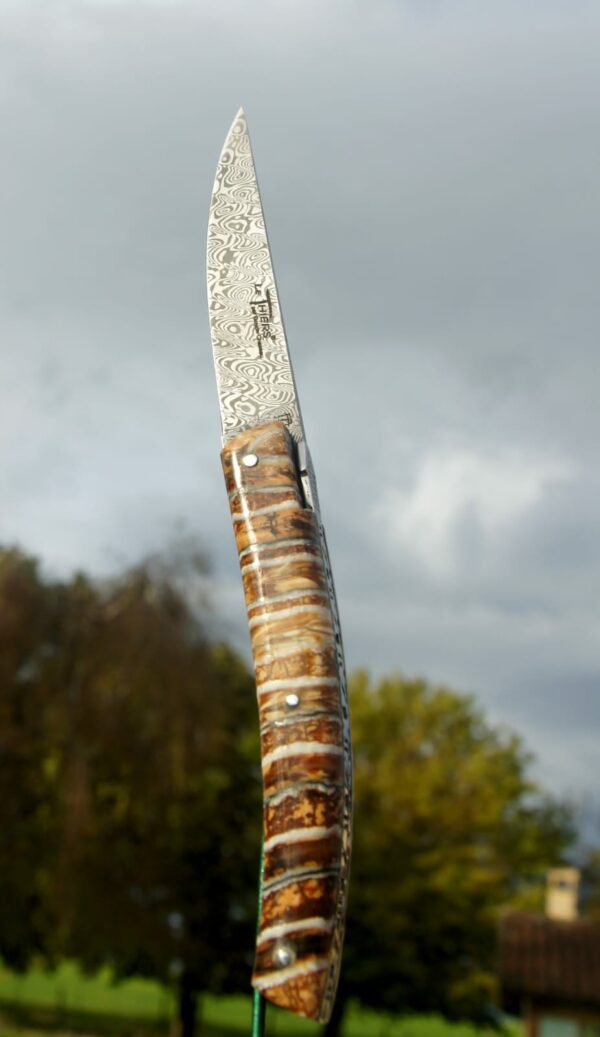 thiers goyon chazeau exception molaire mammouth damas inox ladder
