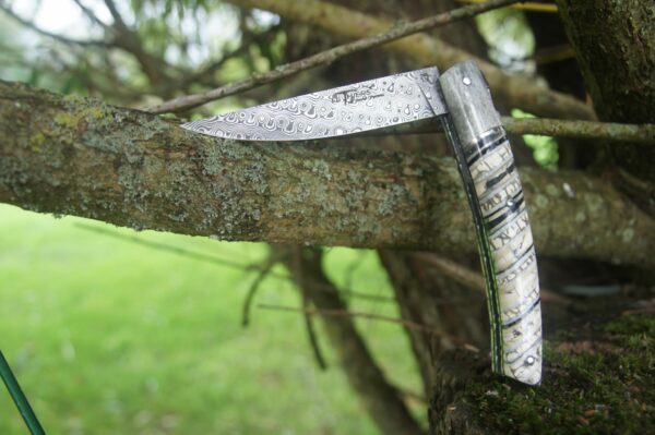 thiers goyon chazeau exception os de girafe molaire mammouth damas inox rose 1