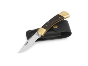 Buck usa Chasseur pliant acier 420HC 02