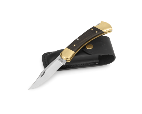 Buck usa Chasseur pliant acier 420HC 02