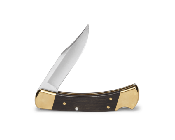 Buck usa Chasseur pliant acier 420HC 04