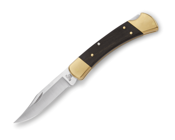 Buck usa Chasseur pliant acier 420HC