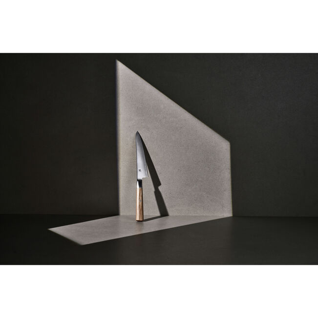 MIYABI Koya shotoh 06