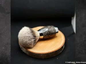 blaireau mulhe chene des marais fossilise pur gris europeen