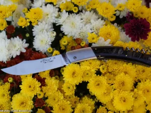 Couteau de Thiers par Cognet tire bouchon manche corne de buffle