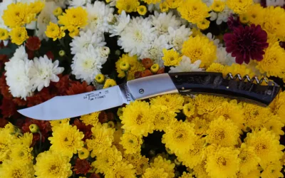 Le Thiers par Cognet – Avec Tire-bouchon – Manche corne de Buffle