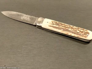 thiers hallali bois de cerf 02