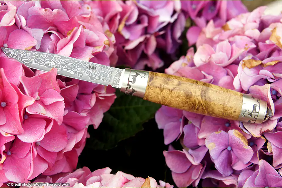 Couteau le Tonneau Loupe de Robinier Lame Damas San Mai Inox par J.M. REMAUD
