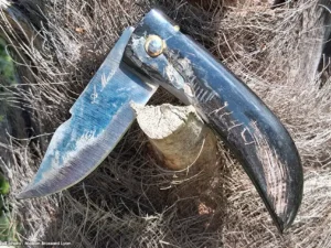 Couteau Corse Alexandre Musso manche corne belier 04