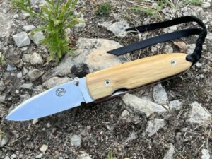 Monterey boxw 1 600x450