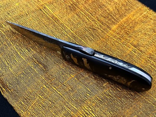Phan Thiet Golden hind friction folder 600x450