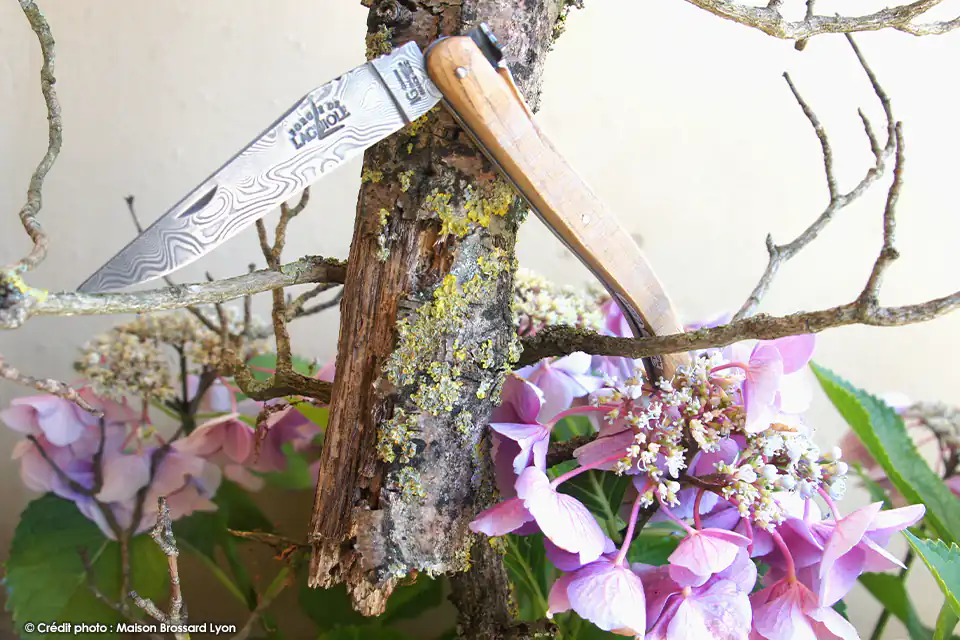 Couteau Exclusif Maison Brossard Forge de Laguiole L'Abeille et la Bête damas Leopard 01