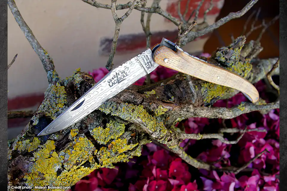 Couteau Exclusif Maison Brossard Forge de Laguiole L'Abeille et la Bête damas Munin 04